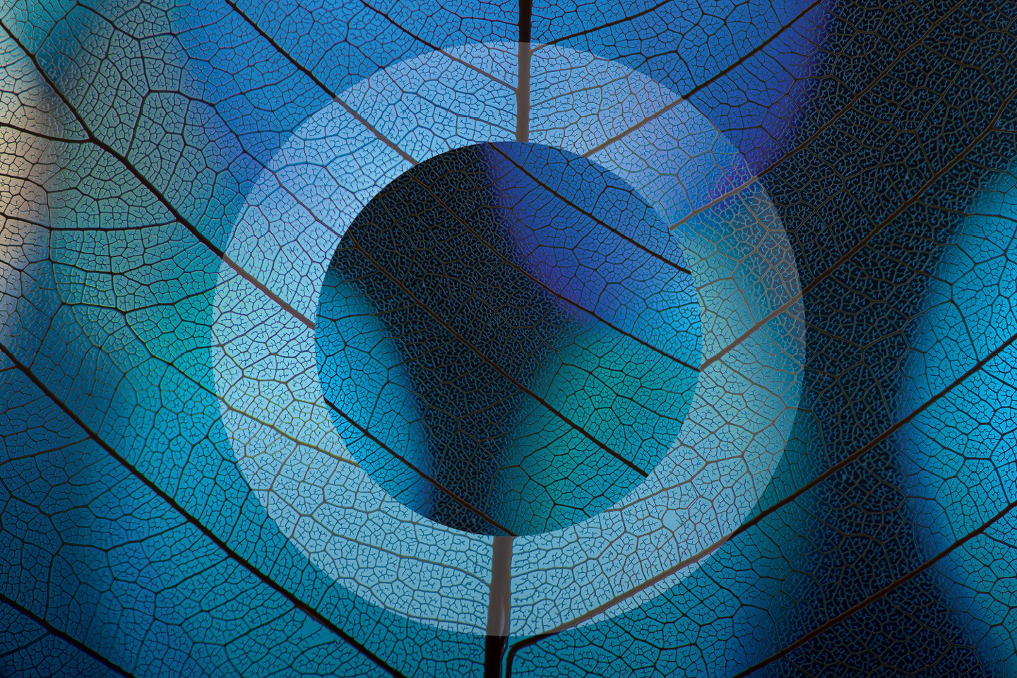 Esg Website Leaf Texture Image 1500X1000