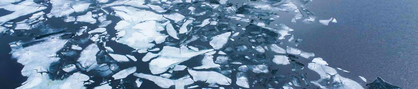 Sea Ice Image