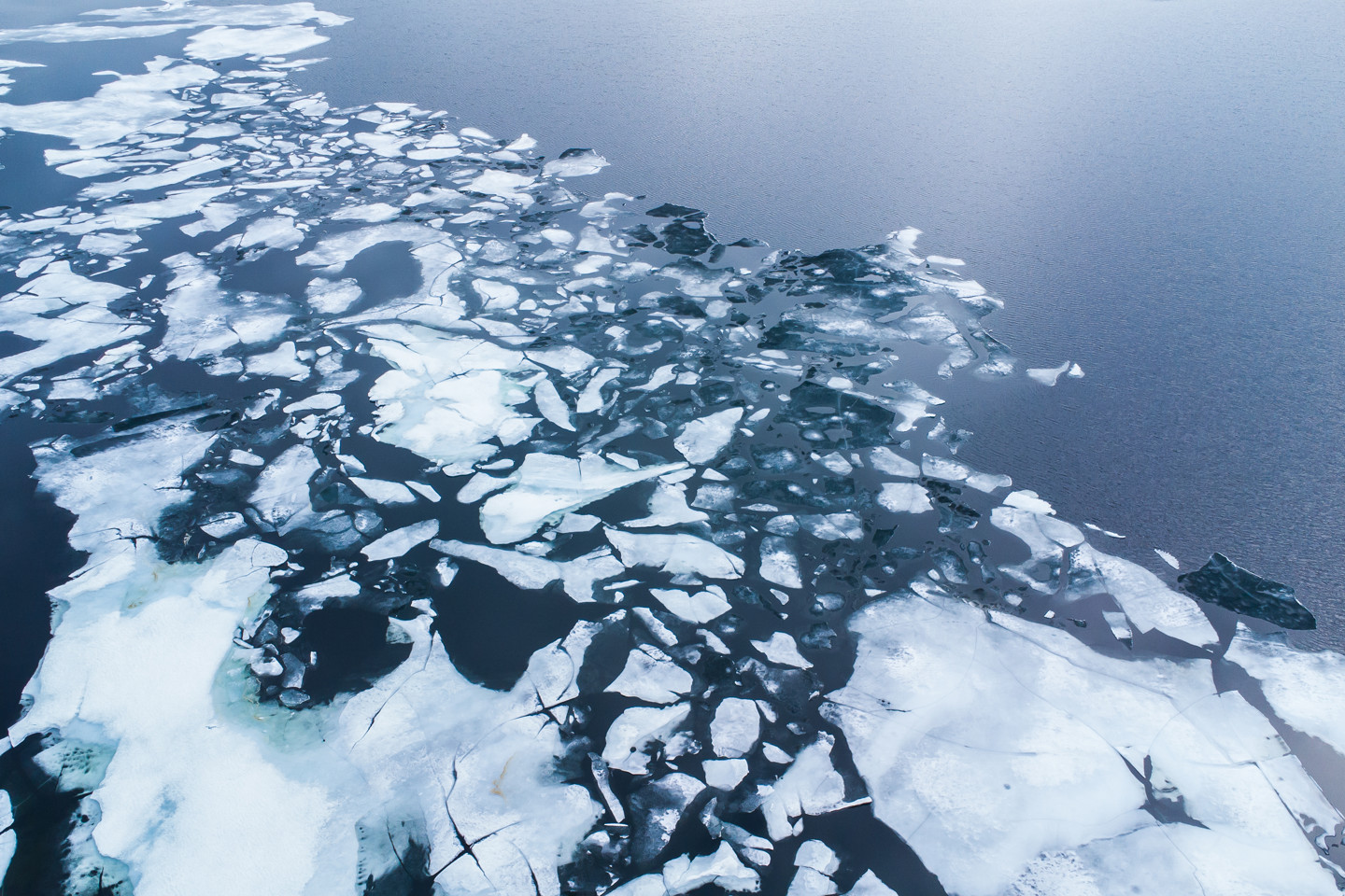 Sea Ice Image