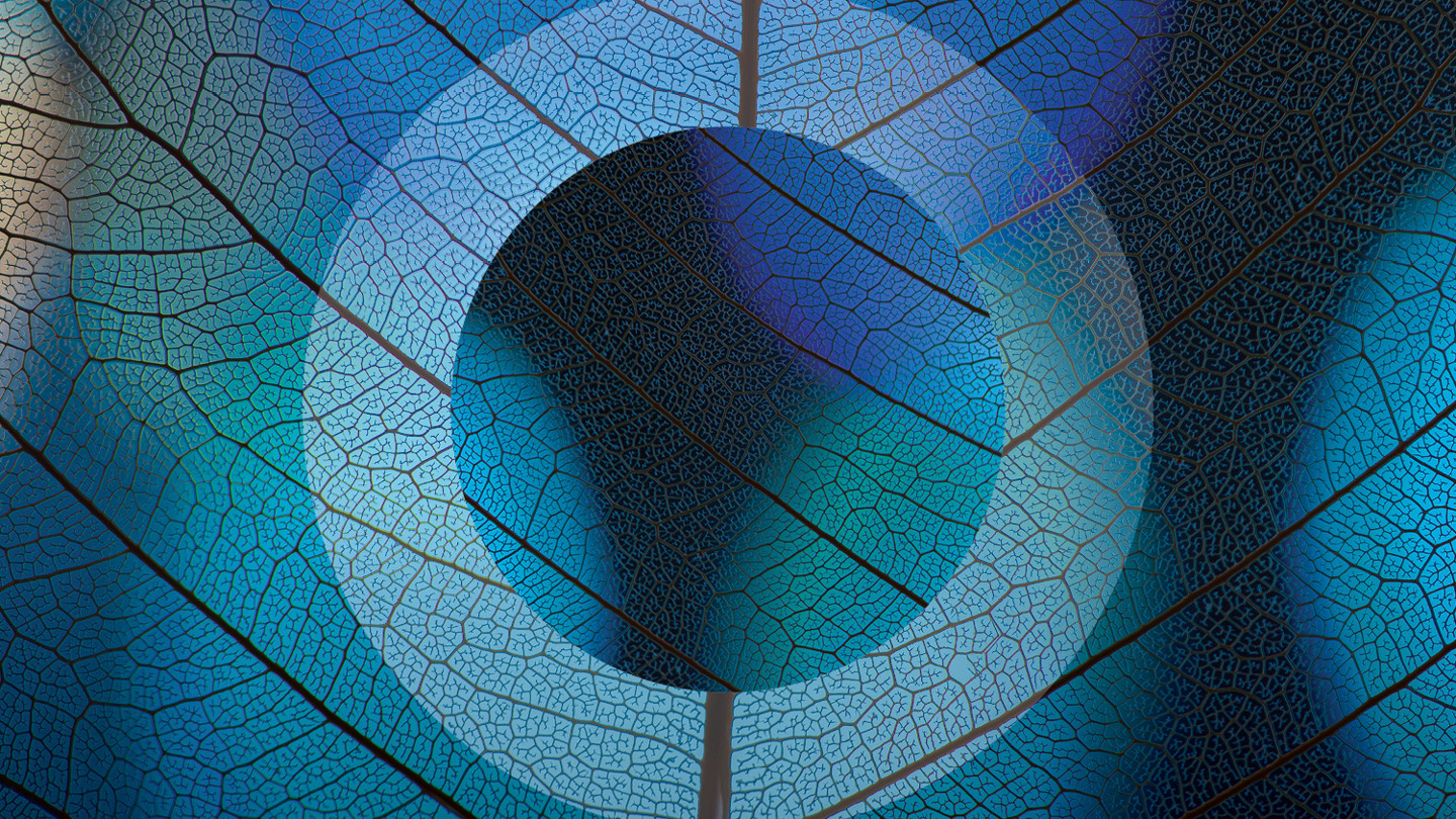 Esg Website Leaf Texture Image 1500X1000 (1)
