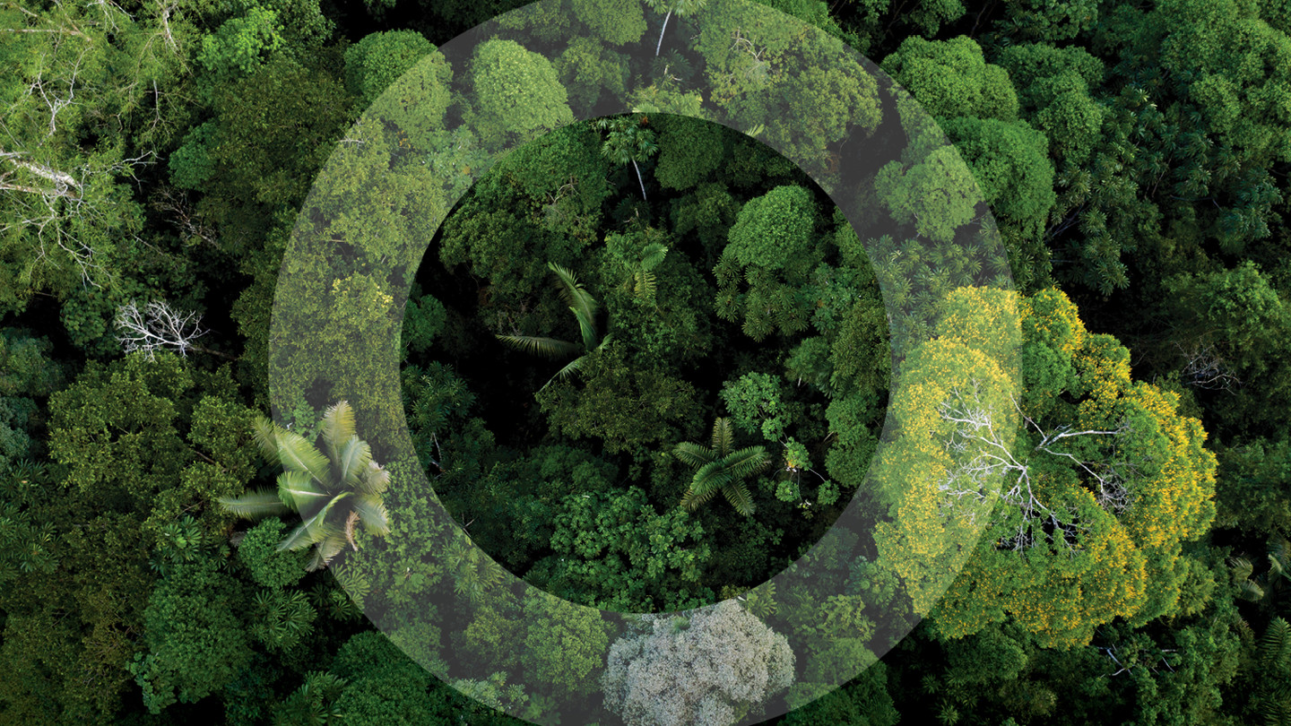 Esg Website Forest Image 1500X1000 (1)